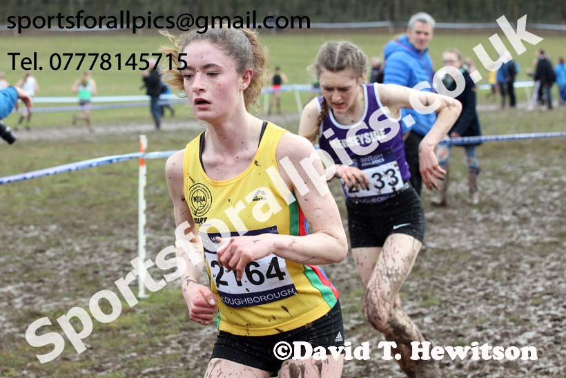 Womens under-17s 2018 British Inter Counties Cross Country Champs., Prestwold Hall, Loughborough. Photo: David T. Hewitson/Sports for All Pics